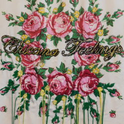 "Chicano Feelings" by Sara Castillo sara castillo